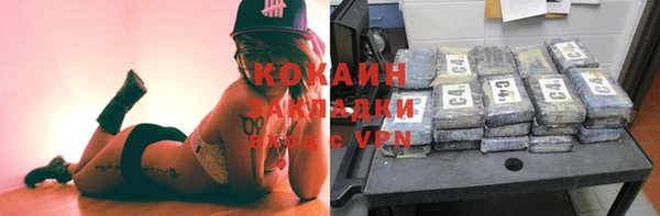 молекула духа Дмитриев