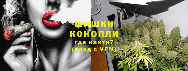 молекула духа Дмитриев