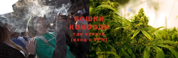 молекула духа Дмитриев