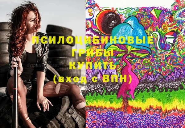 молекула духа Дмитриев