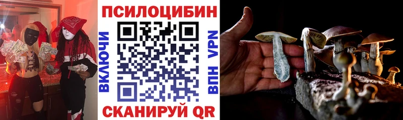 Псилоцибиновые грибы GOLDEN TEACHER  магазин  наркотиков  Полесск 